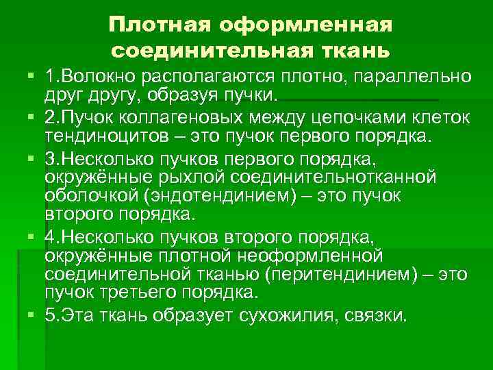 Плотная оформленная соединительная ткань § 1. Волокно располагаются плотно, параллельно другу, образуя пучки. §