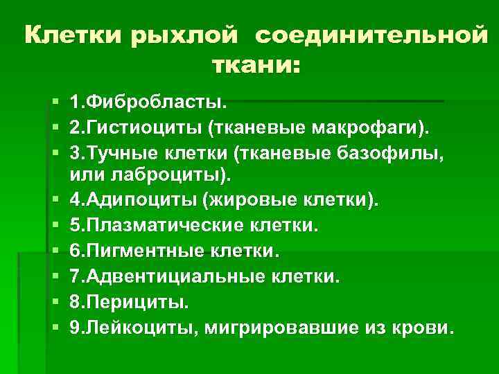 Клетки рыхлой соединительной ткани: § 1. Фибробласты. § 2. Гистиоциты (тканевые макрофаги). § 3.