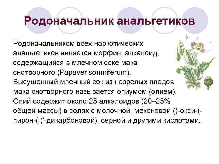 Родоначальник анальгетиков Родоначальником всех наркотических анальгетиков является морфин, алкалоид, содержащийся в млечном соке мака