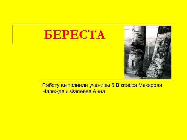 БЕРЕСТА Работу выполнили ученицы 5 В класса Макарова Надежда и Фалеева Анна 