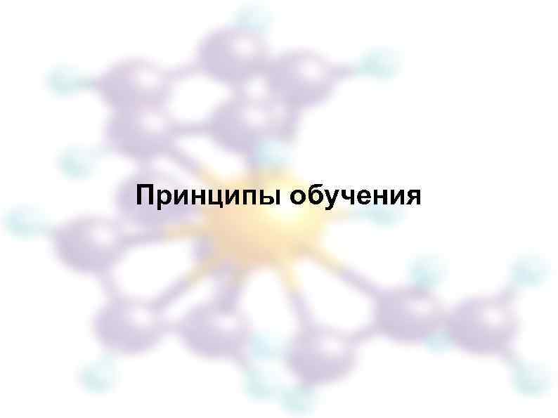 Принципы обучения 