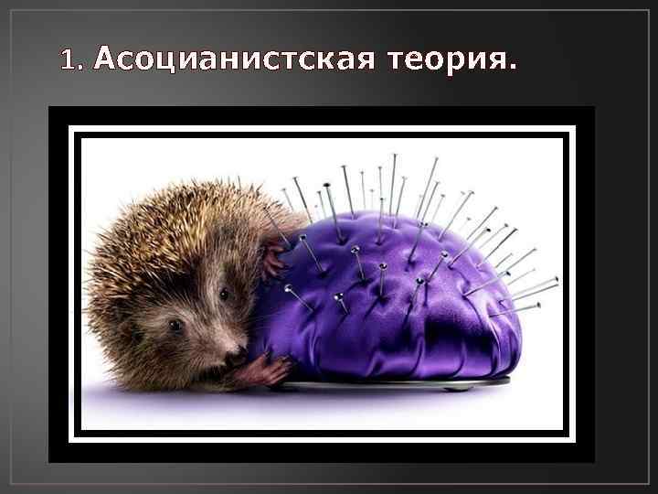 1. Асоцианистская теория. 