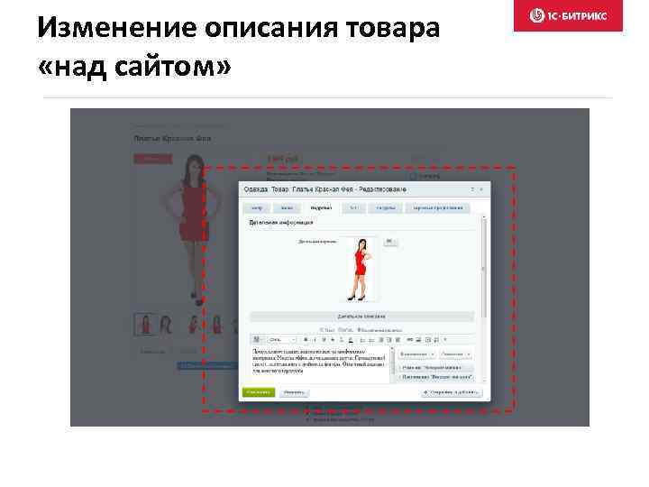 Изменение описания товара «над сайтом» 