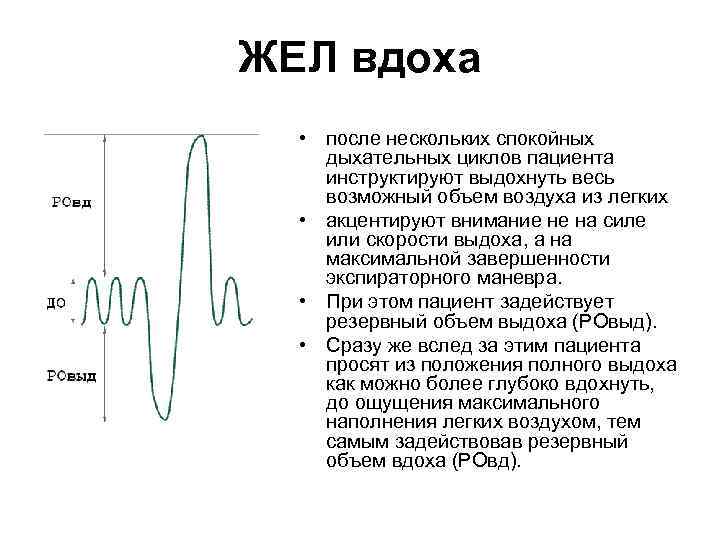 ЖЕЛ вдоха • после нескольких спокойных дыхательных циклов пациента инструктируют выдохнуть весь возможный объем