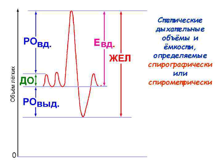 Статические дыхательные объёмы и ёмкости, определяемые спирографически или спирометрически 