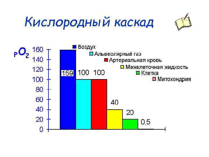 Кислородный каскад 