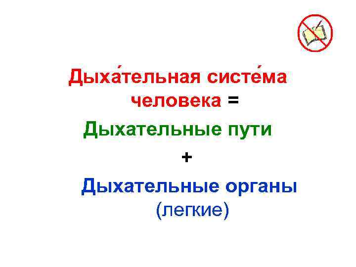 Дыха тельная систе ма человека = Дыхательные пути + Дыхательные органы (легкие) 