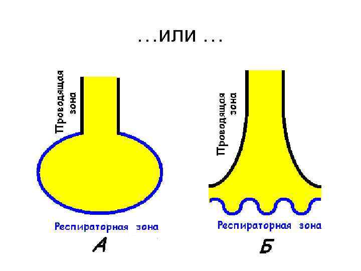 …или … 