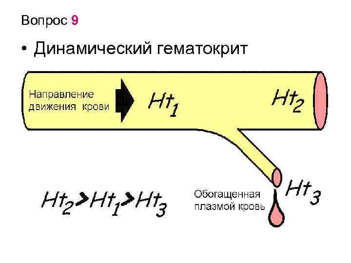 Вопрос 9 • Динамический гематокрит 
