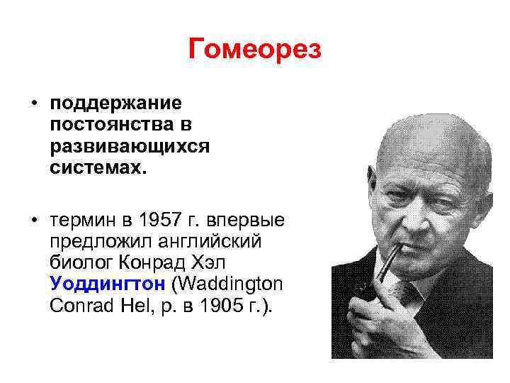 Гомеорез • поддержание постоянства в развивающихся системах. • термин в 1957 г. впервые предложил