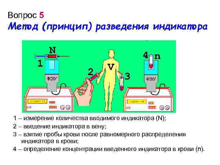 Вопрос 5 Метод (принцип) разведения индикатора 1 – измерение количества вводимого индикатора (N); 2