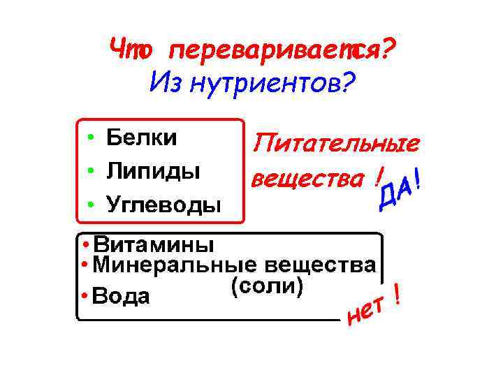 Что переваривается? Из нутриентов? 