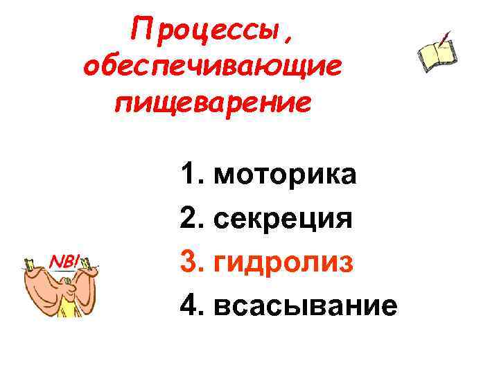 Процессы, обеспечивающие пищеварение 1. моторика 2. секреция 3. гидролиз 4. всасывание 