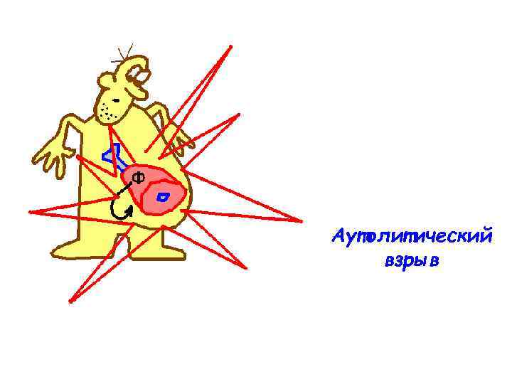 Аутолитический взрыв 