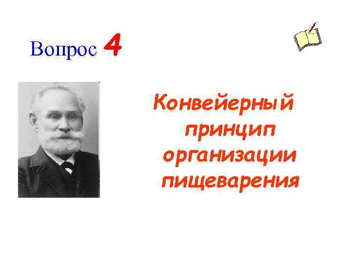 Вопрос 4 Конвейерный принцип организации пищеварения 