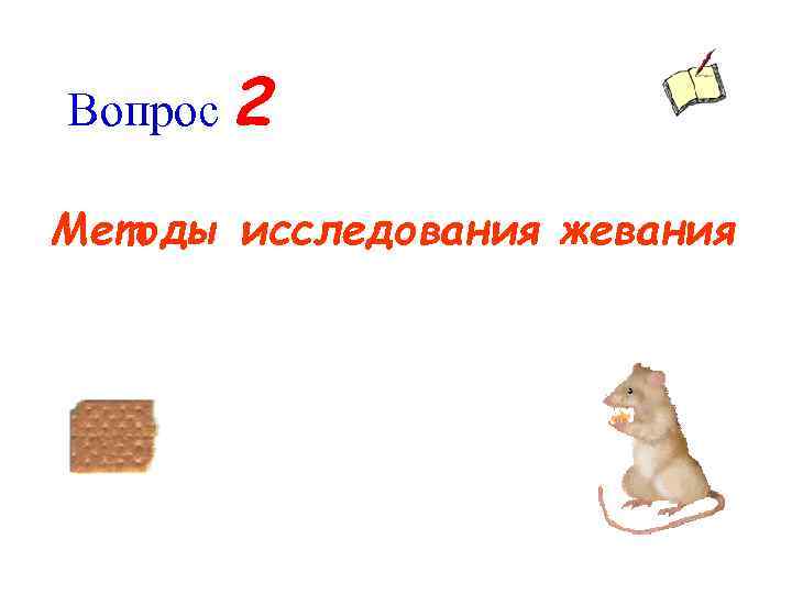 Вопрос 2 Методы исследования жевания 