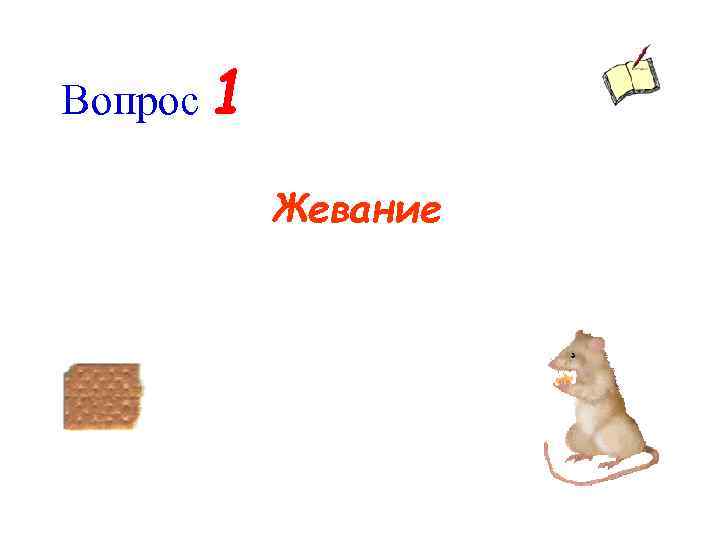 Вопрос 1 Жевание 