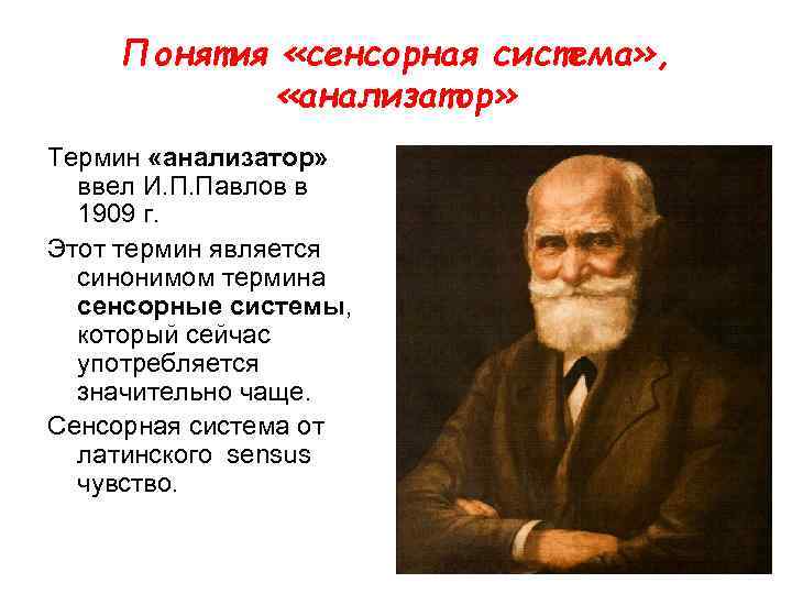 Понятия «сенсорная система» , «анализатор» Термин «анализатор» ввел И. П. Павлов в 1909 г.