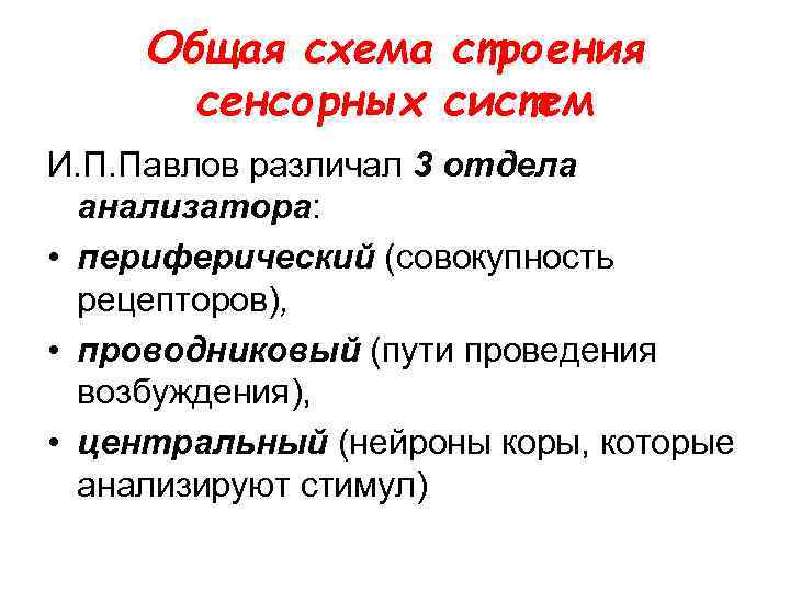 Общая схема строения сенсорных систем И. П. Павлов различал 3 отдела анализатора: • периферический