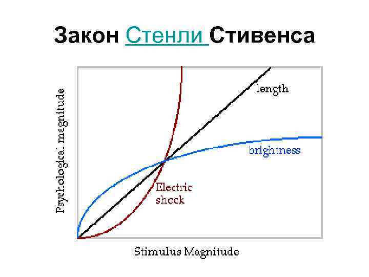 Закон Стенли Стивенса 