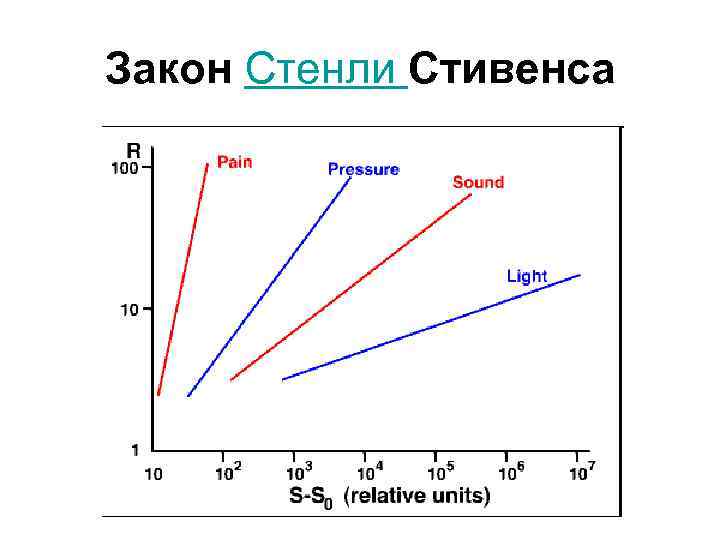 Закон Стенли Стивенса 