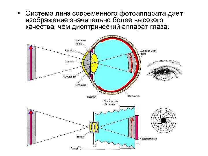  • Система линз современного фотоаппарата дает изображение значительно более высокого качества, чем диоптрический