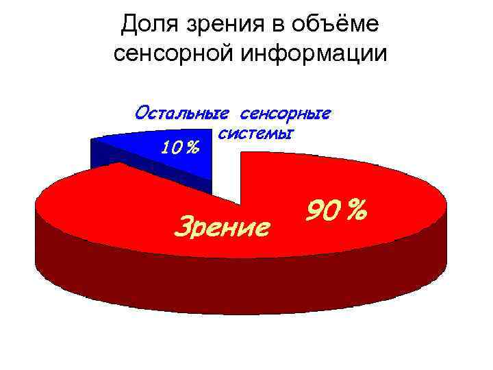Доля зрения в объёме сенсорной информации 