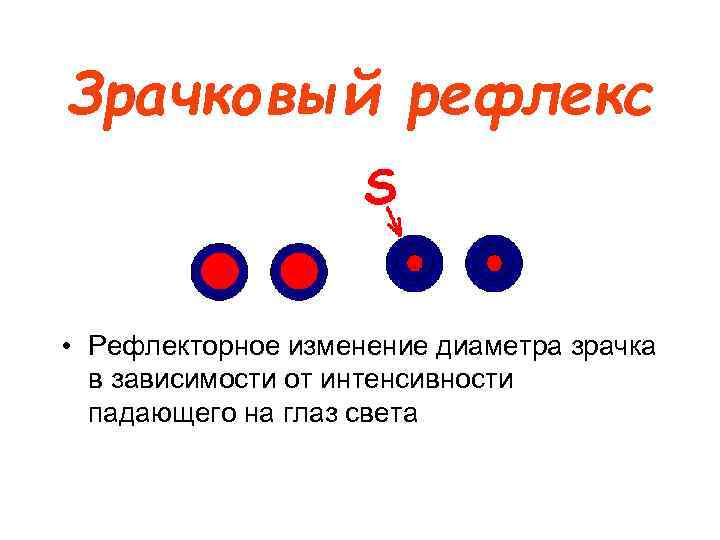 Зрачковый рефлекс • Рефлекторное изменение диаметра зрачка в зависимости от интенсивности падающего на глаз