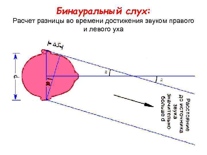 Бинауральный слух: Расчет разницы во времени достижения звуком правого и левого уха 
