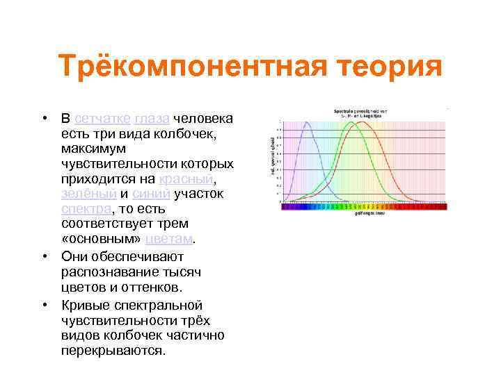 Трёкомпонентная теория • В сетчатке глаза человека есть три вида колбочек, максимум чувствительности которых