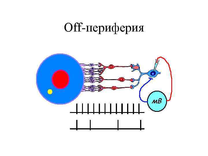 Off-периферия 