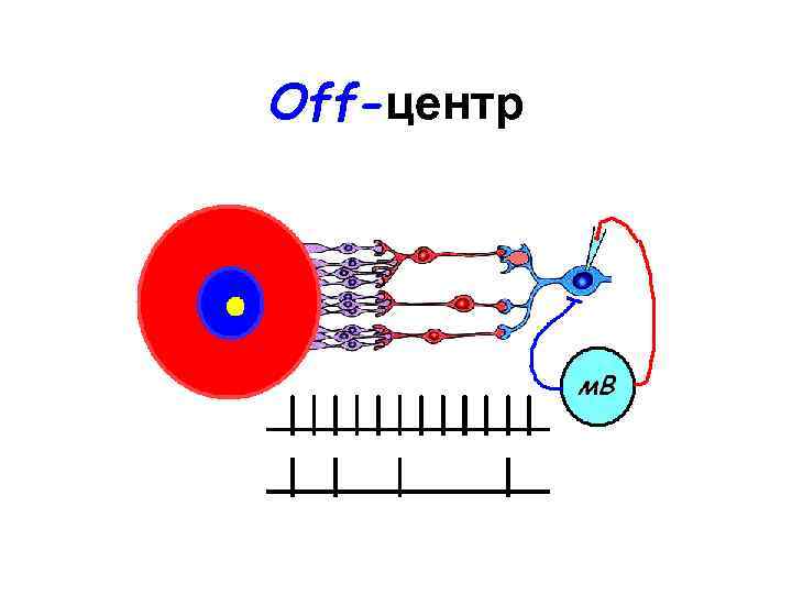 Off-центр 