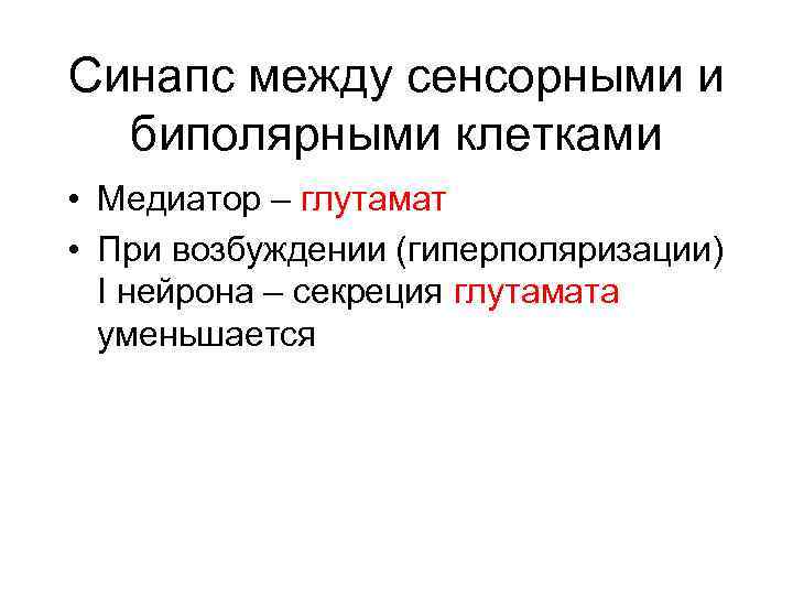 Синапс между сенсорными и биполярными клетками • Медиатор – глутамат • При возбуждении (гиперполяризации)