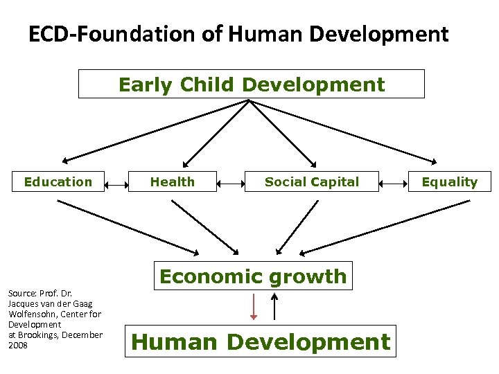 ECD-Foundation of Human Development Early Child Development Education Source: Prof. Dr. Jacques van der