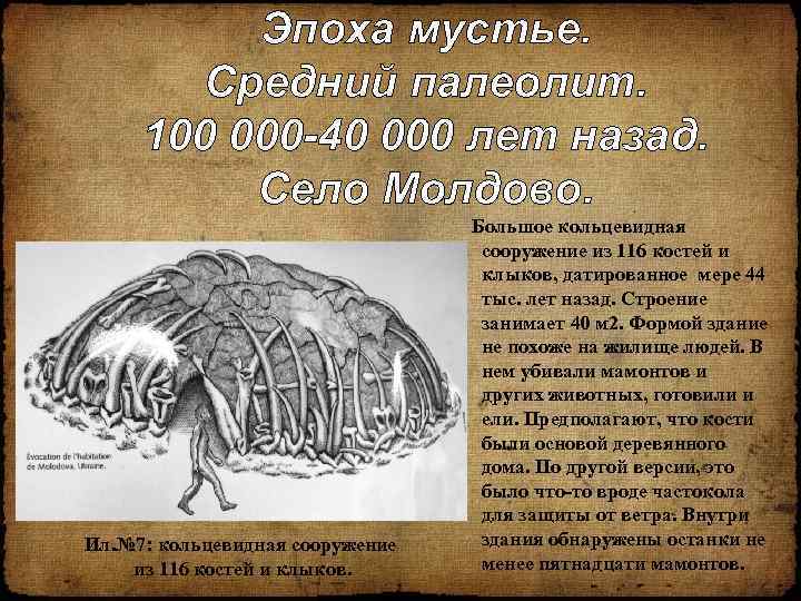 Эпоха мустье. Средний палеолит. 100 000 -40 000 лет назад. Село Молдово. Ил. №