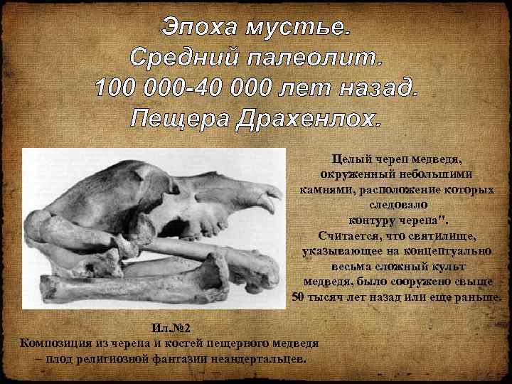 Эпоха мустье. Средний палеолит. 100 000 -40 000 лет назад. Пещера Драхенлох. Целый череп