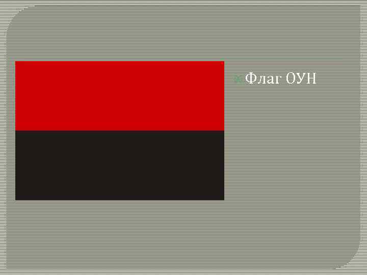  Флаг ОУН 