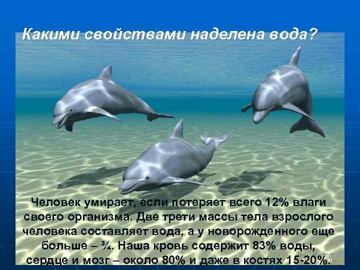 Какими свойствами наделена вода? Человек умирает, если потеряет всего 12% влаги своего организма. Две