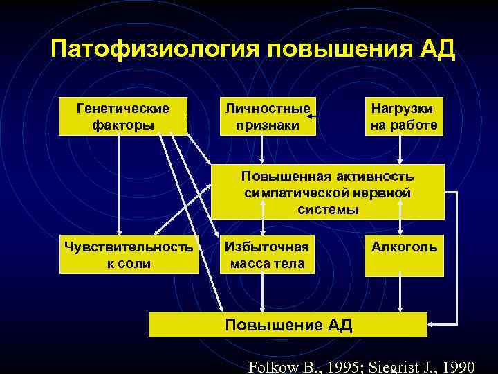 Патофизиология повышения АД Генетические факторы Личностные признаки Нагрузки на работе Повышенная активность симпатической нервной