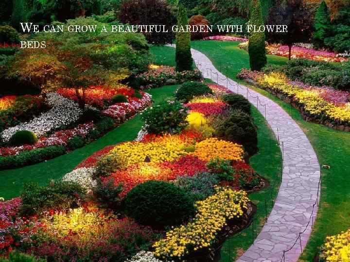 WE CAN GROW A BEAUTIFUL GARDEN WITH FLOWER BEDS 