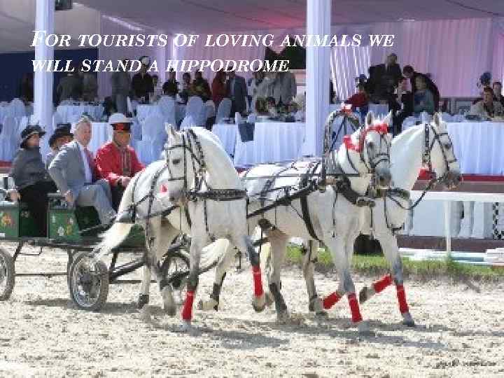 FOR TOURISTS OF LOVING ANIMALS WE WILL STAND A HIPPODROME 