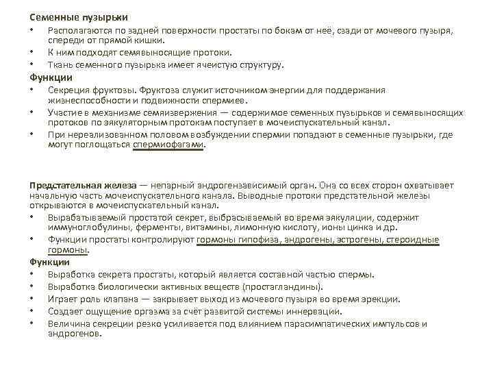 Семенные пузырьки • Располагаются по задней поверхности простаты по бокам от неё, сзади от