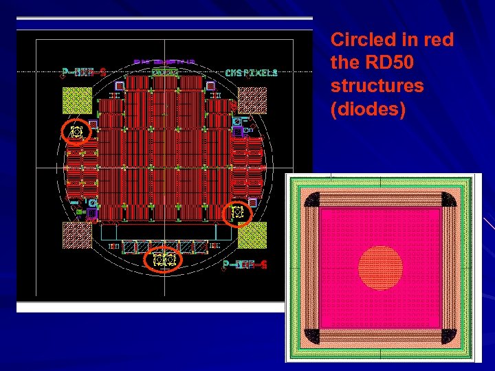 Circled in red the RD 50 structures (diodes) 
