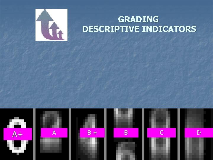 GRADING DESCRIPTIVE INDICATORS A+ A B+ B C D 