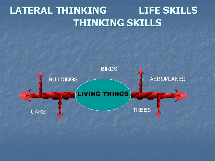 LATERAL THINKING LIFE SKILLS THINKING SKILLS BIRDS BUILDINGS n AEROPLANES LIVING THINGS CARS TREES