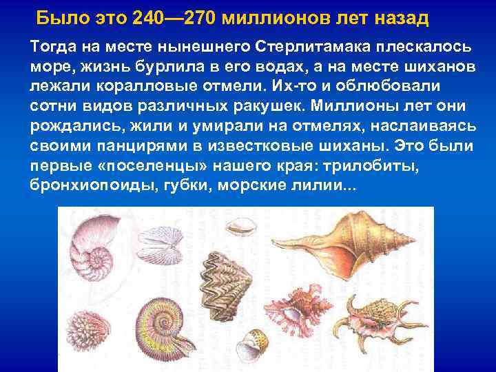  Было это 240— 270 миллионов лет назад Тогда на месте нынешнего Стерлитамака плескалось