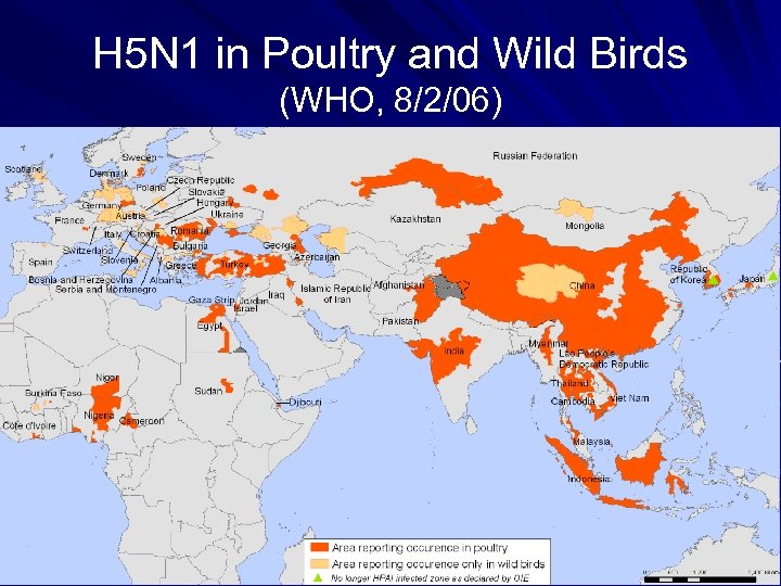 H 5 N 1 in Poultry and Wild Birds (WHO, 8/2/06) 