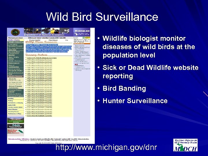 Wild Bird Surveillance • Wildlife biologist monitor diseases of wild birds at the population