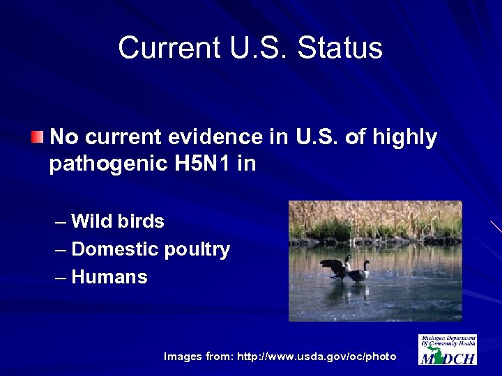 Current U. S. Status No current evidence in U. S. of highly pathogenic H