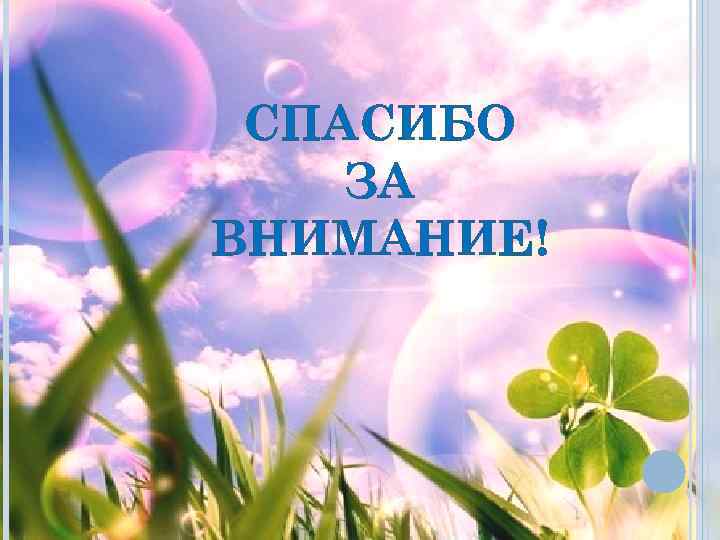 СПАСИБО ЗА ВНИМАНИЕ! 